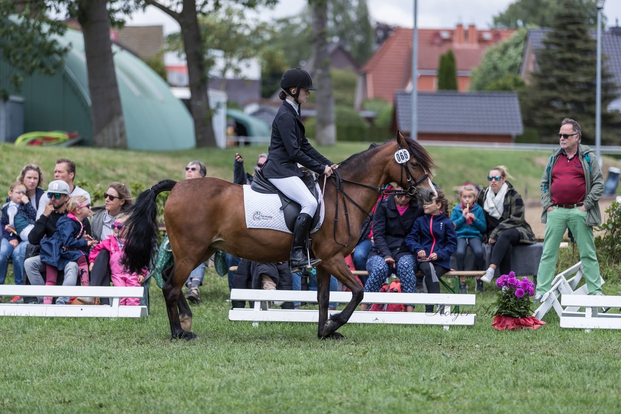 Bild 20 - Pony Akademie Turnier